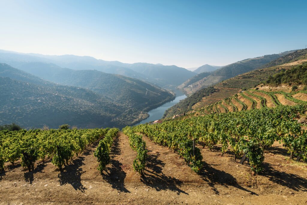 Douro Valley by sunny day
