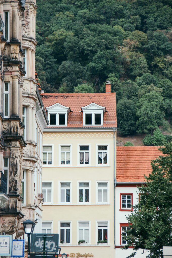 Buildings in the street of Heidelberg