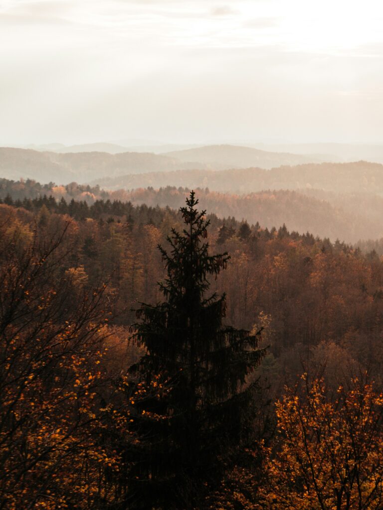 Mountains in beautiful sunset light