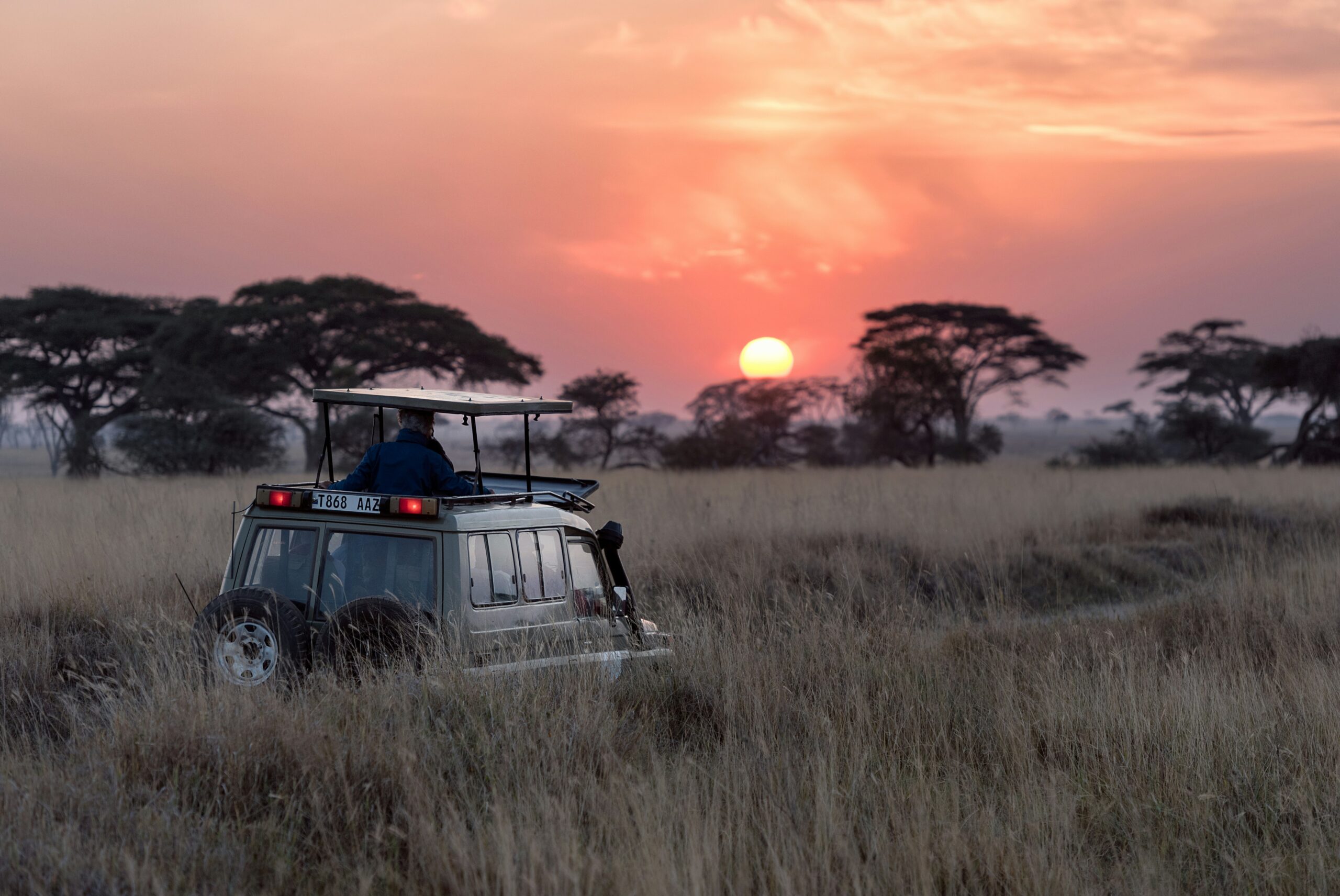 A large SUV stands in a safari setting at sunset
