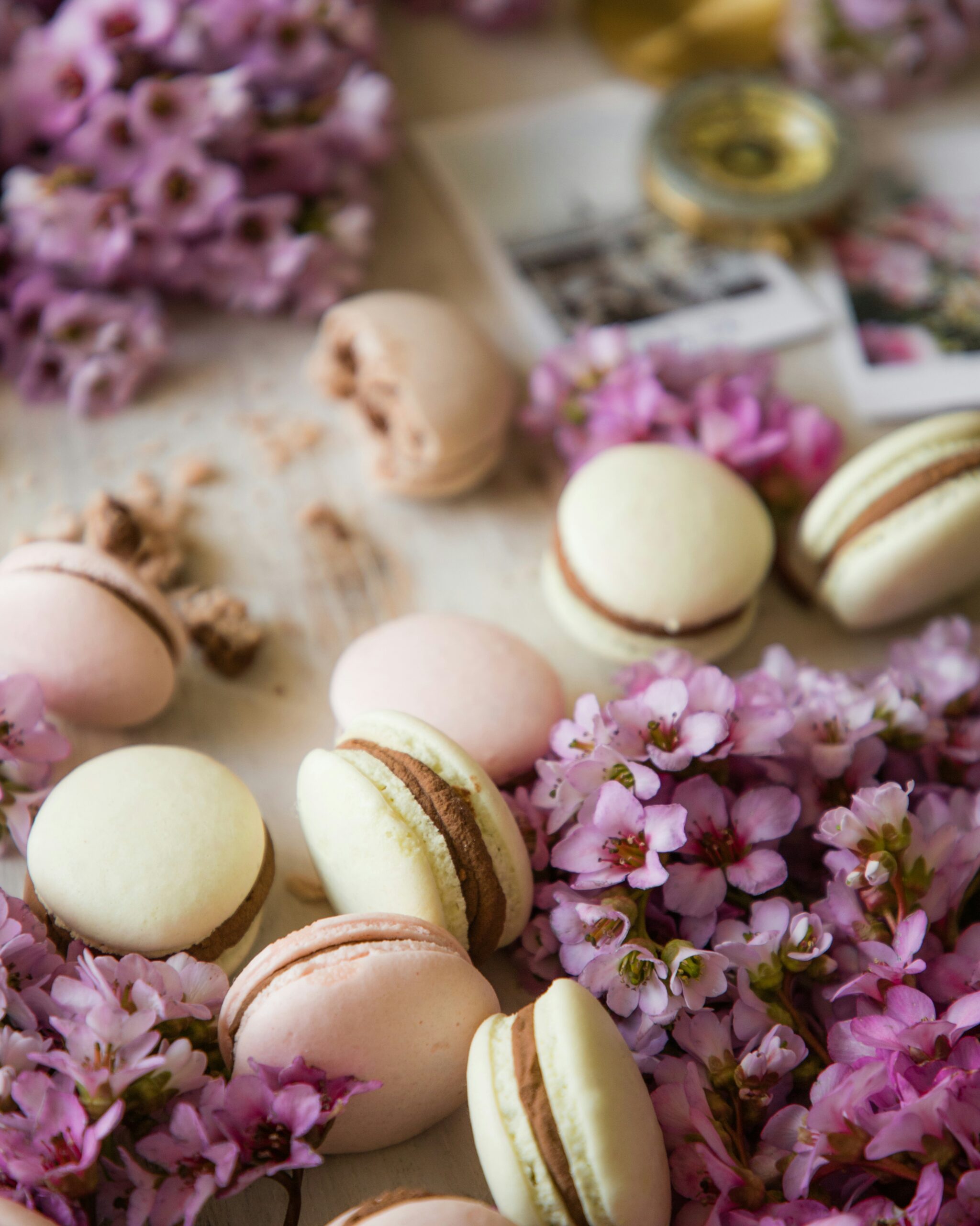 Close-up of french macarons
