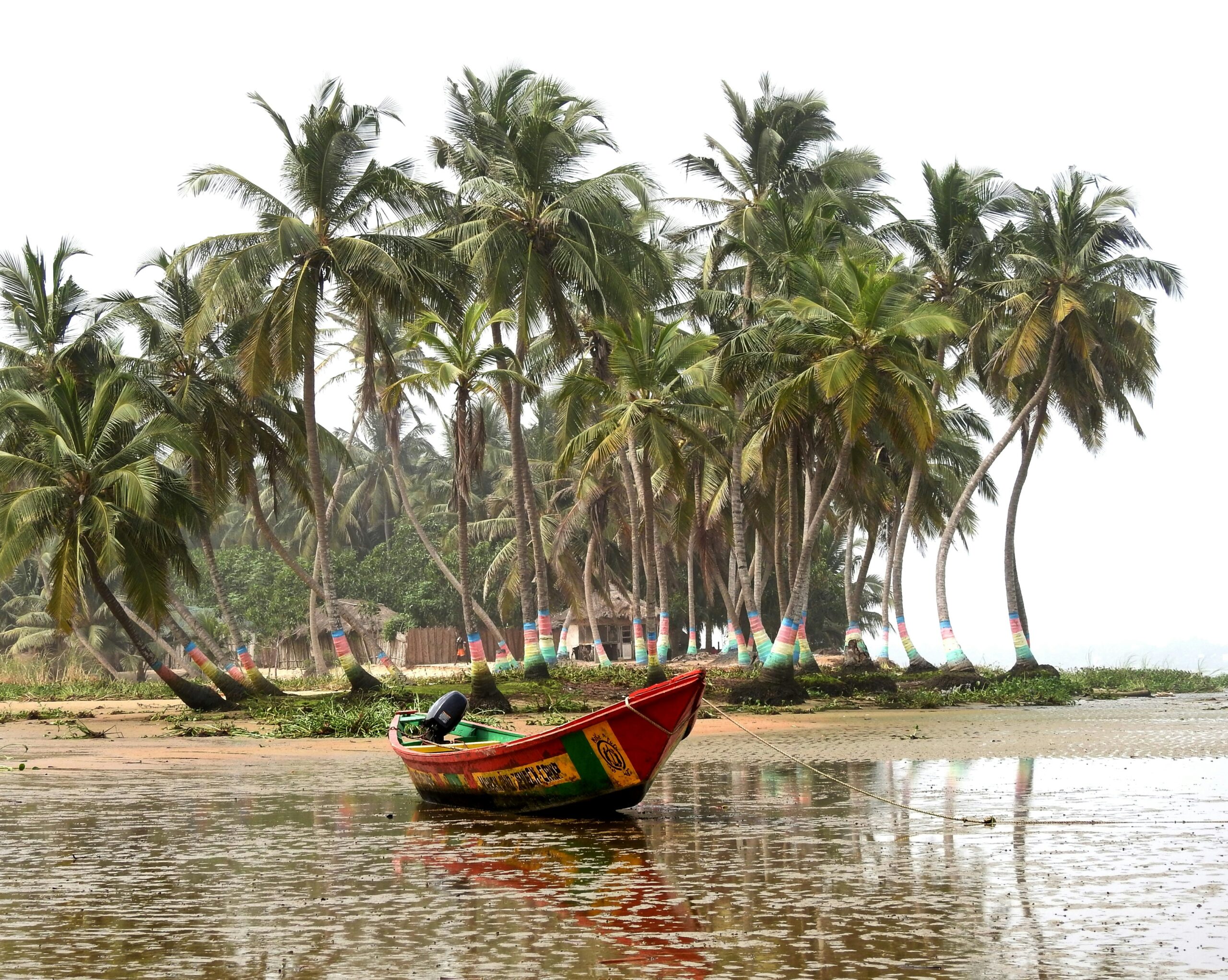 A small boat stands on water in front of an island with many palm trees